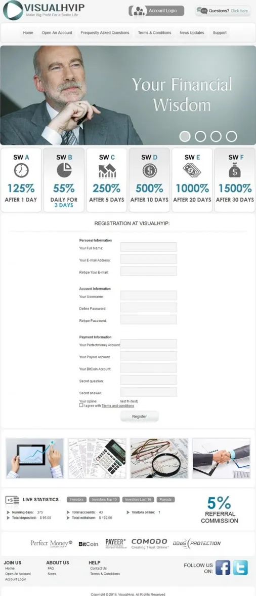 Investment Template 2 Page