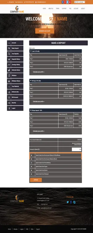 Investment Template 3 Page