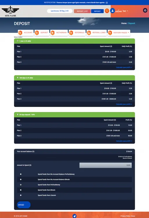 Investment Template 3 Page