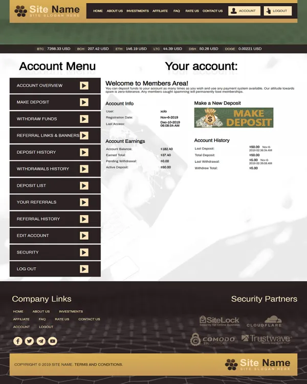 Investment Template 2 Page