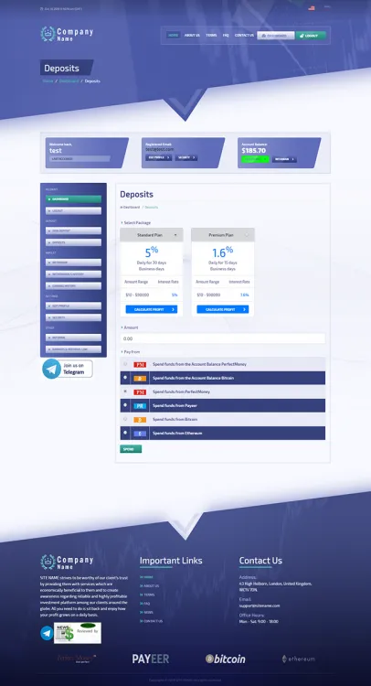 Investment Template 3 Page