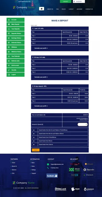 Investment Template 3 Page