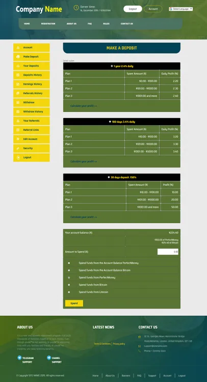 Investment Template 3 Page