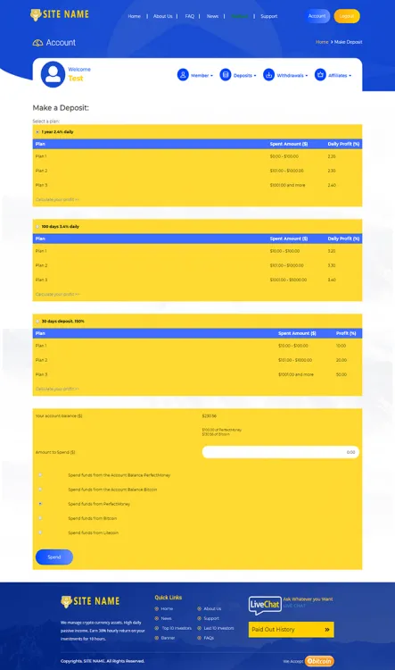Investment Template 3 Page