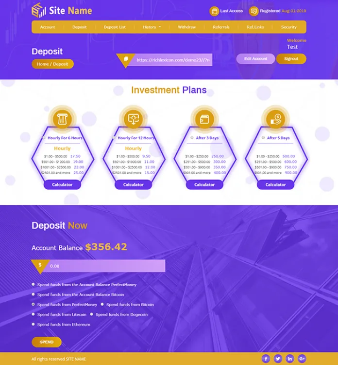 Investment Template 3 Page