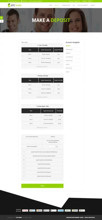 Investment Template 3 Page