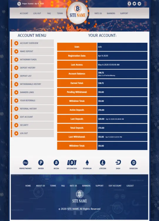 Investment Template 2 Page