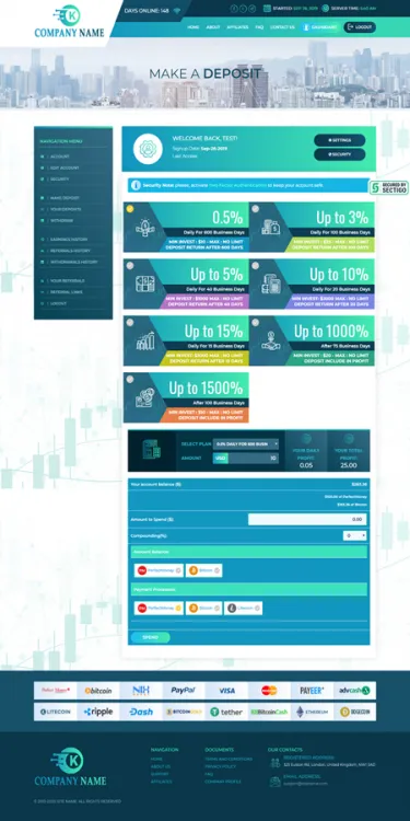 Investment Template 3 Page
