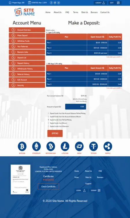 Investment Template 3 Page