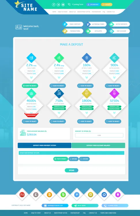 Investment Template 3 Page