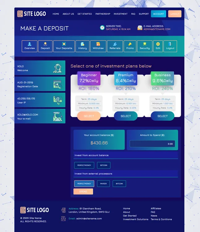 Investment Template 3 Page