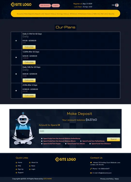 Investment Template 3 Page