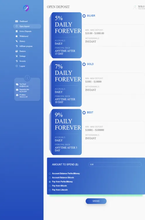 Investment Template 2 Page