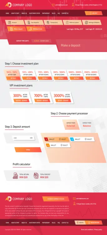 Investment Template 3 Page