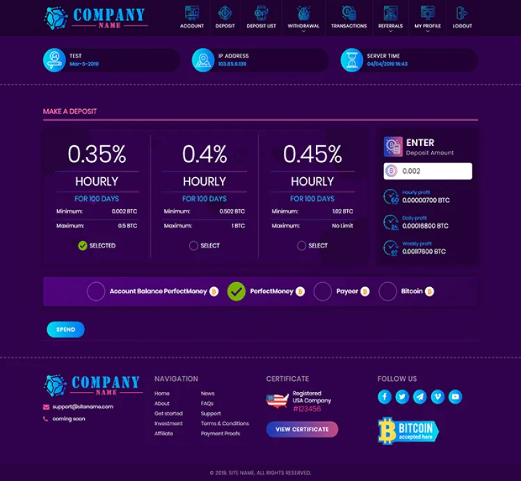 Investment Template 3 Page