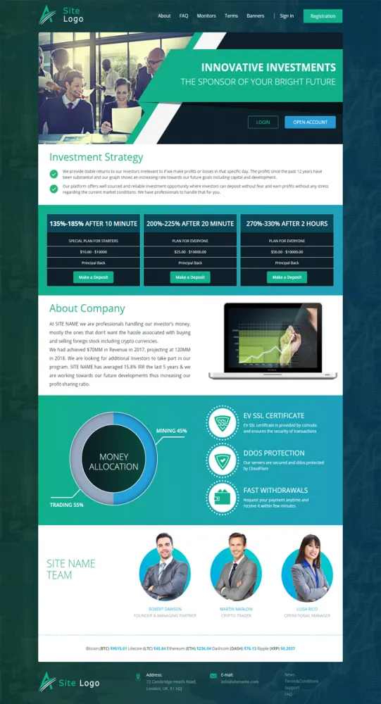 HYIP zhrt Investment Template 202 Design