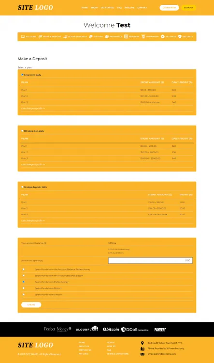 Investment Template 3 Page