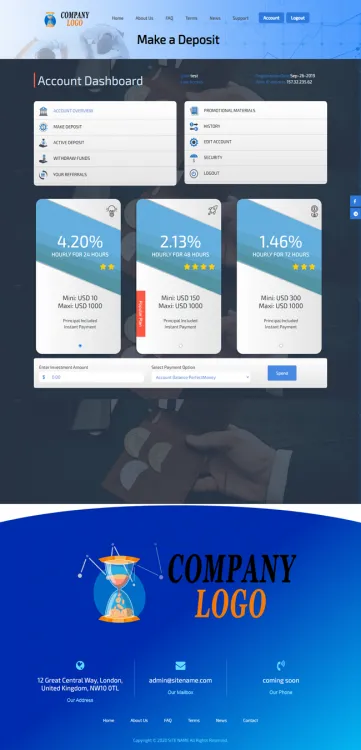 Investment Template 3 Page