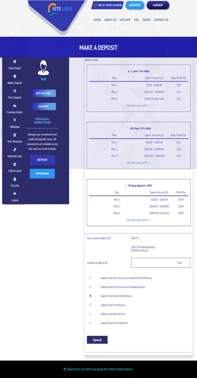 Investment Template 3 Page