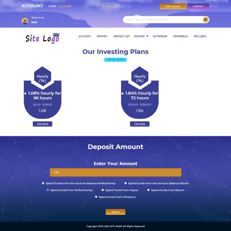 Investment Template 3 Page