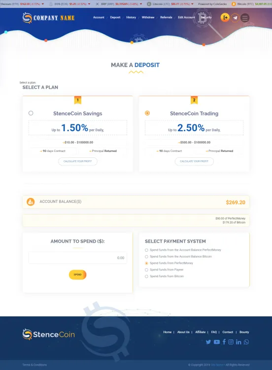 Investment Template 3 Page