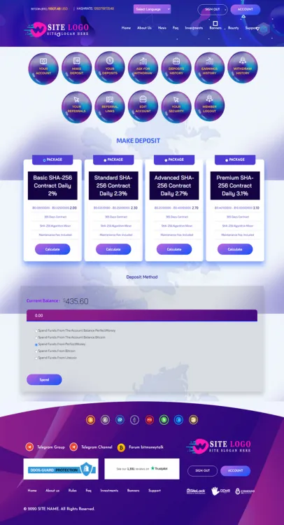 Investment Template 3 Page