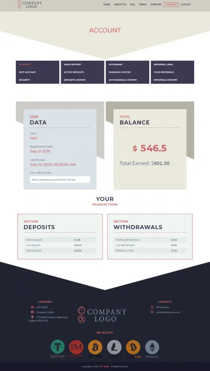 Investment Template 2 Page