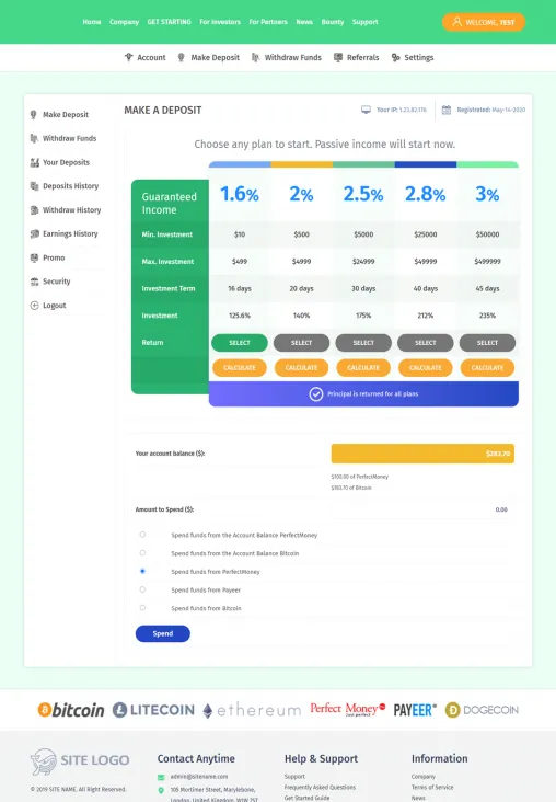 Investment Template 3 Page