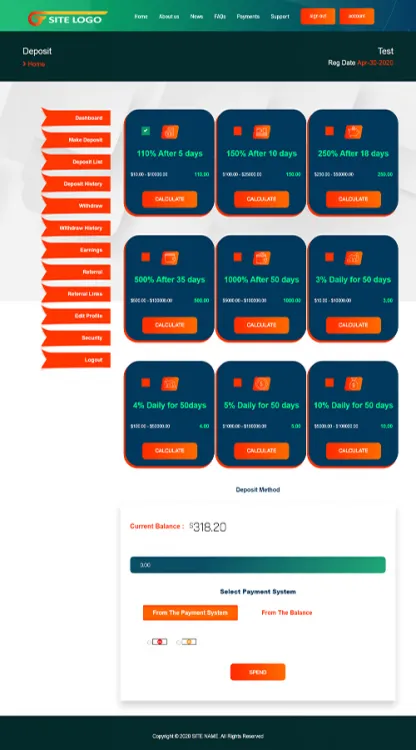 Investment Template 3 Page