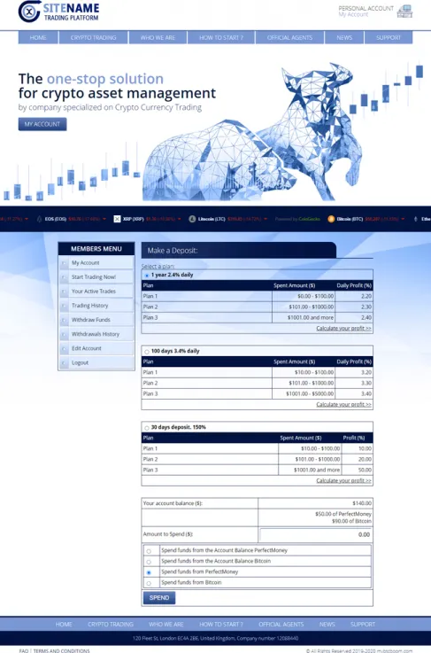 Investment Template 3 Page