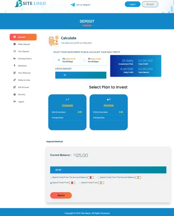 Investment Template 3 Page