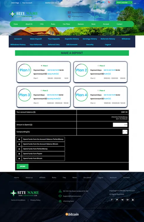 Investment Template 3 Page