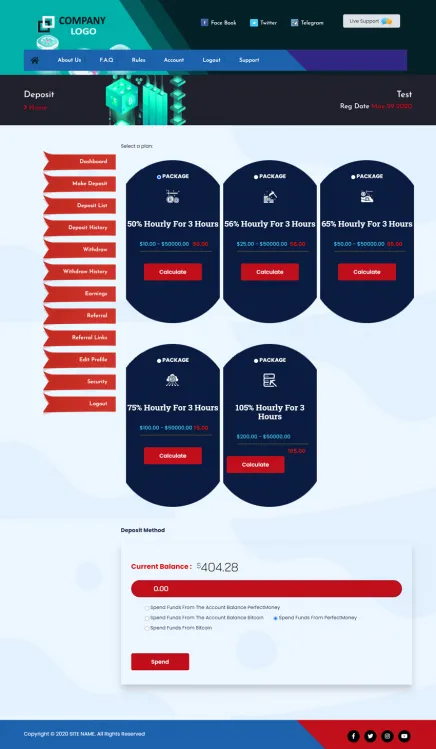 Investment Template 3 Page
