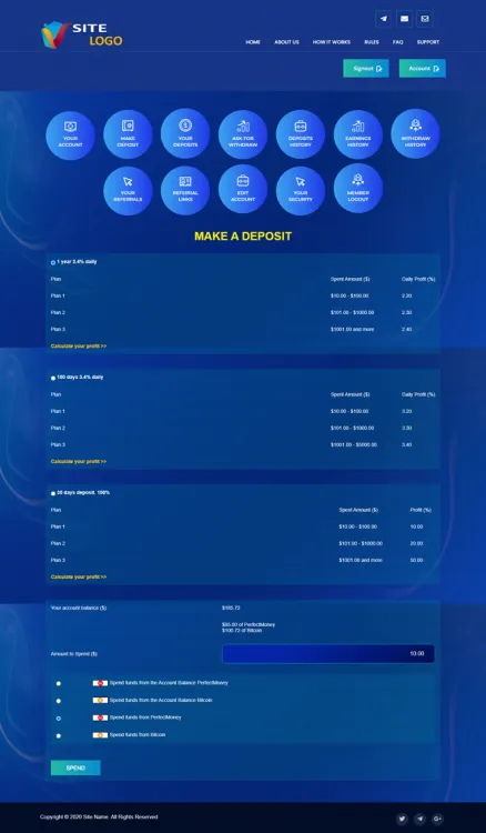 Investment Template 3 Page