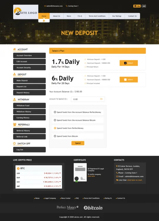 Investment Template 3 Page