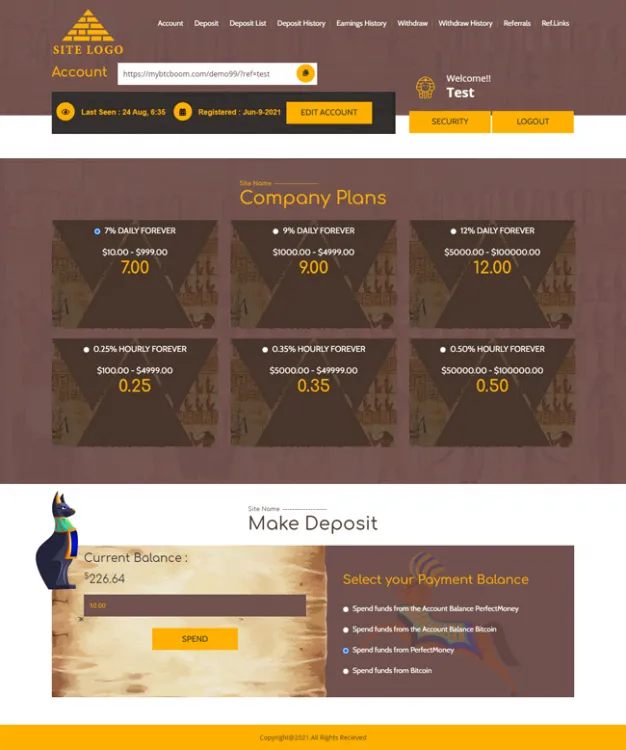 Investment Template 3 Page
