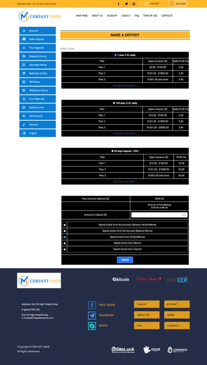 Investment Template 3 Page