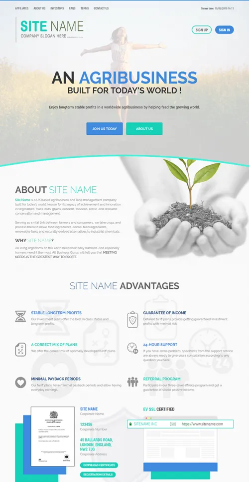 HYIP zhrt Investment Template 33 Design