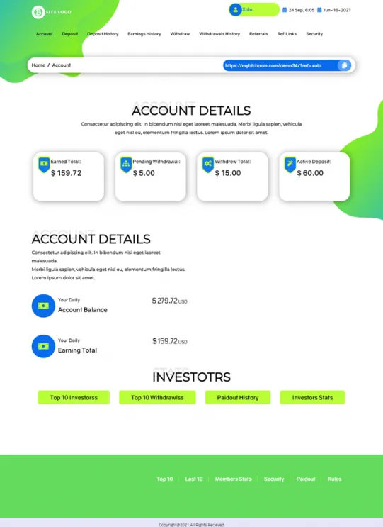 Investment Template 2 Page
