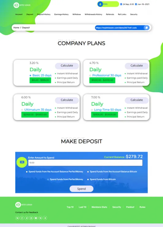 Investment Template 3 Page