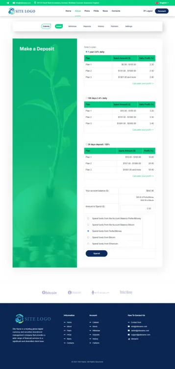 Investment Template 3 Page
