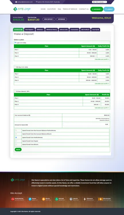 Investment Template 3 Page