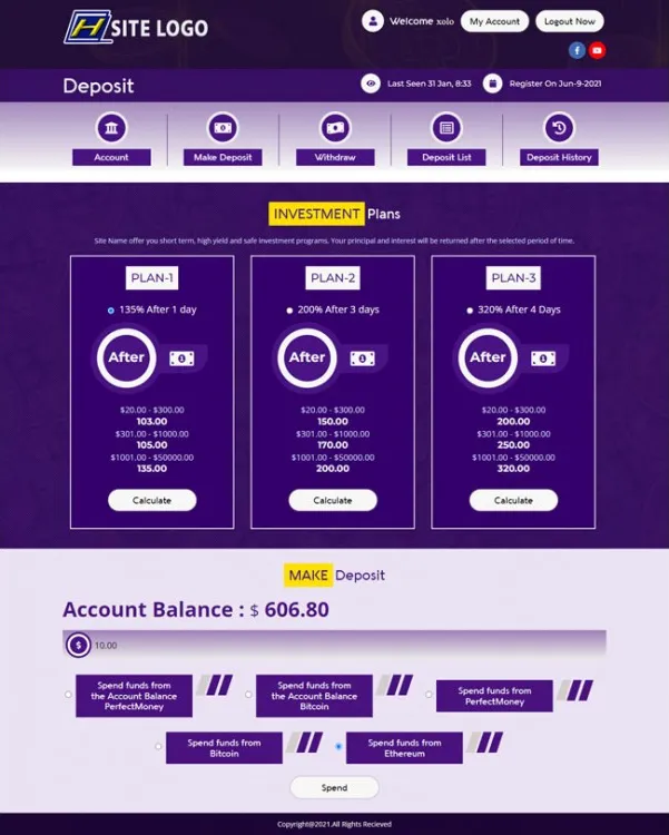 Investment Template 3 Page