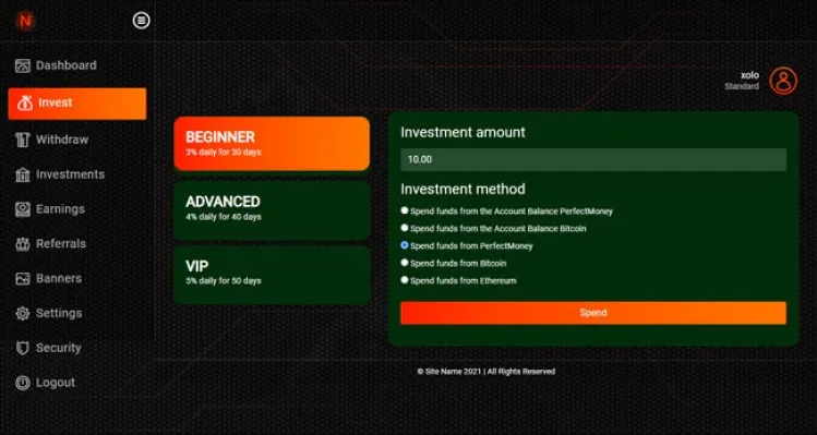 Investment Template 3 Page