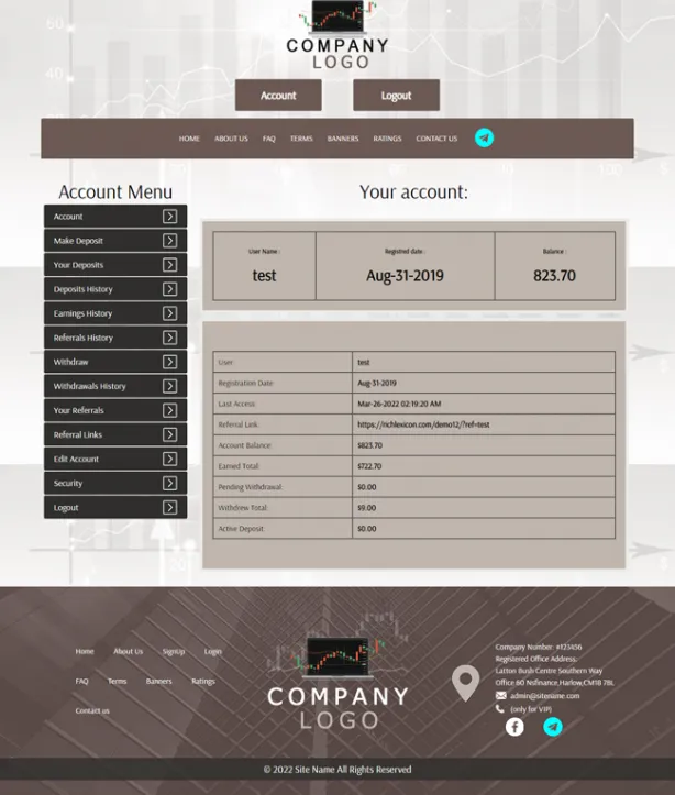 Investment Template 2 Page