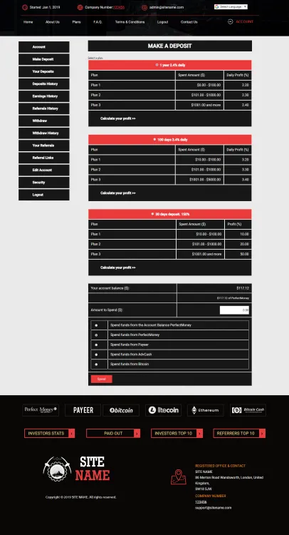 Investment Template 3 Page