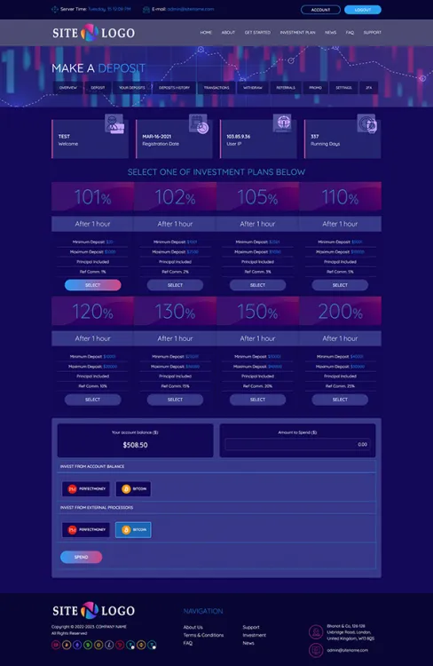 Investment Template 3 Page
