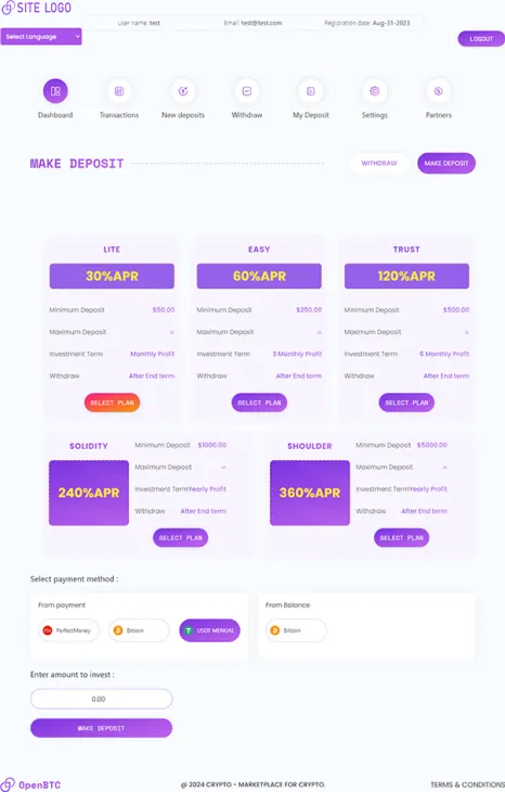 Investment Template 3 Page