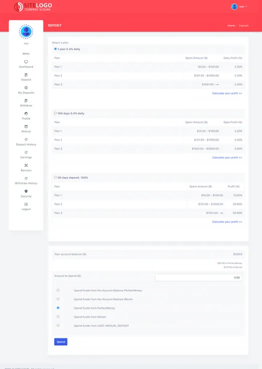 Investment Template 3 Page