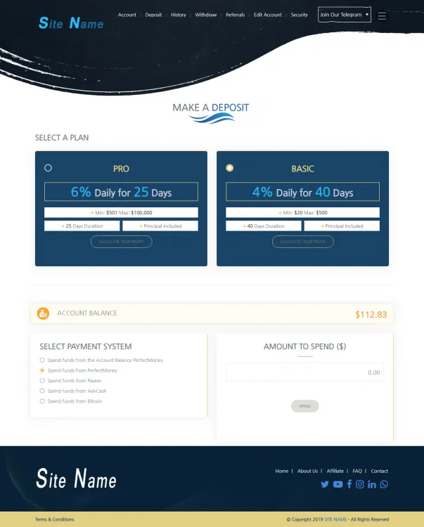 Investment Template 3 Page
